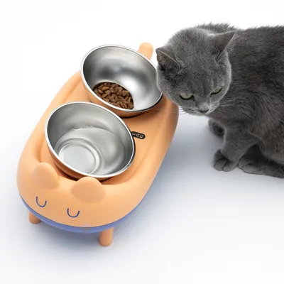 Cat bowl set with orange cat-shaped stand, two stainless steel bowls for water and dry food. Grey cat next to it.