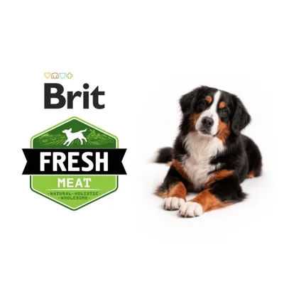 Brit Fresh Puppy Large Vită cu dovleac