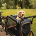 Nomad Tales Spirit Bike Trailer, ebony / tangerine