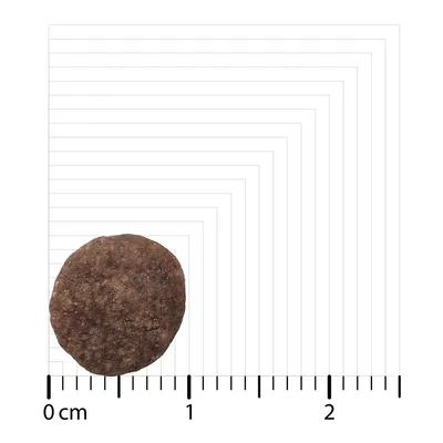 Ein einzelnes rundes Trockenfutterstück auf einem Maßstab, Durchmesser etwa 1,5 cm.