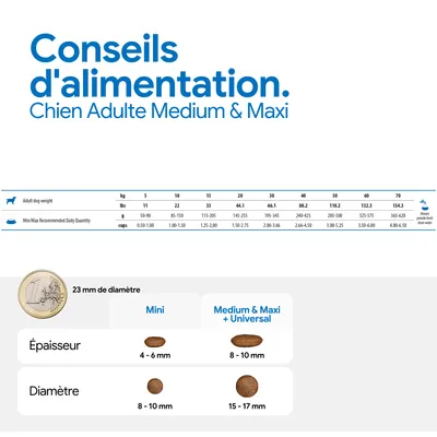 Recommandation d’alimentation pour chiens adultes medium et maxi : tableau avec le poids, la quantité journalière recommandée en g et en cups. Comparaison des croquettes mini et medium & maxi : épaisseur et diamètre. Recommandation d’alimentation pour chiens adultes medium et maxi : tableau avec le poids, la quantité journalière recommandée en g et en cups. Comparaison des croquettes mini et medium & maxi : épaisseur et diamètre.