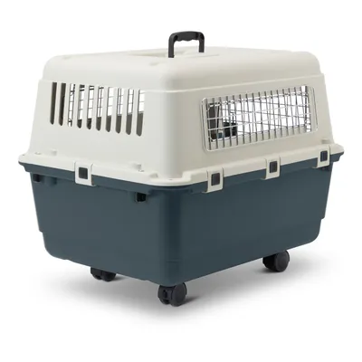 Caisse de transport en plastique rigide avec roulettes, poignée noire sur le dessus et grilles métalliques latérales pour animaux.
