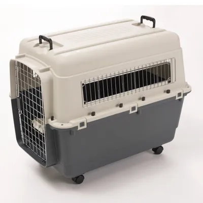 Cage de transport en plastique gris et beige avec porte et fenêtres grillagées en métal, poignées noires sur le dessus et roulettes visibles à la base.