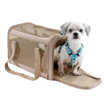 Petit chien blanc avec harnais bleu assis dans un sac de transport beige à mailles, porte ouverte. Sac en tissu et filet, poignées visibles.