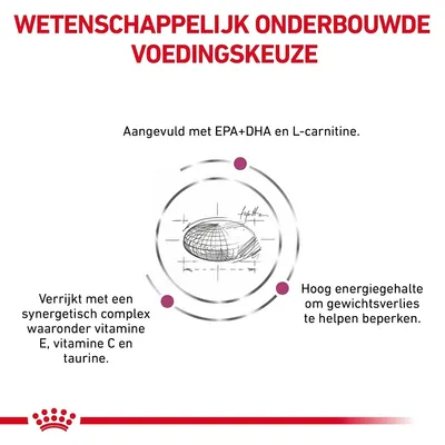 Wetenschappelijk onderbouwde voedingskeuze. Aangevuld met EPA+DHA en L-carnitine. Verrijkt met vitamine E, C en taurine. Hoog energiegehalte om gewichtsverlies te helpen beperken.