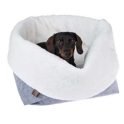 Hund in einem grauen und weissen Kuschelbett aus weichem Material. Produkt zeigt Komfort und Design des Haustierbetts.