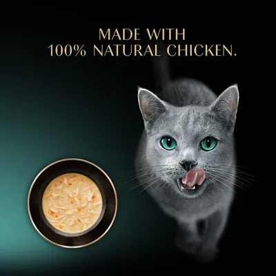 Sheba Classic Soups Saver Pack 40 x 40g - with Chicken