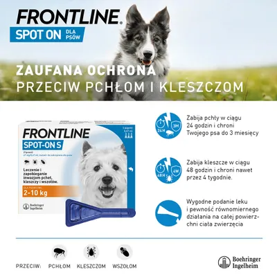 Frontline Spot On dla psów 2–10 kg. Leczenie i zapobieganie inwazjom pcheł, kleszczy, wszołów. Zabija pchły w 24 h, chroni do 3 miesięcy; kleszcze w 48 h, chroni do 4 tygodni.