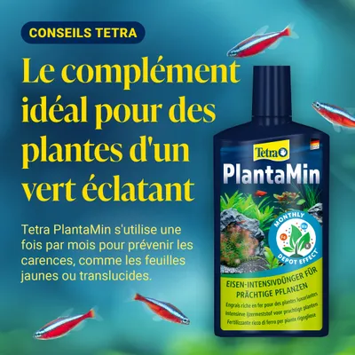 Tetra PlantaMin engrais intensif au fer pour des plantes splendides. Complément pour des plantes d’aquarium vigoureusement vertes, application mensuelle pour prévenir les carences. Tetra PlantaMin engrais intensif au fer pour des plantes splendides. Complément pour des plantes d’aquarium vigoureusement vertes, application mensuelle pour prévenir les carences.