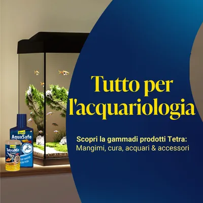 Tutto per l'acquariologia. Scopri la gamma di prodotti Tetra: mangimi, cura, acquari & accessori. In foto: Tetra AquaSafe e TetraMin Flakes davanti all'acquario.