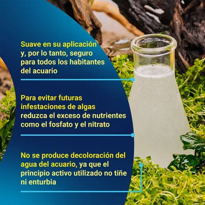 Tetra AlguMin solución antialgas