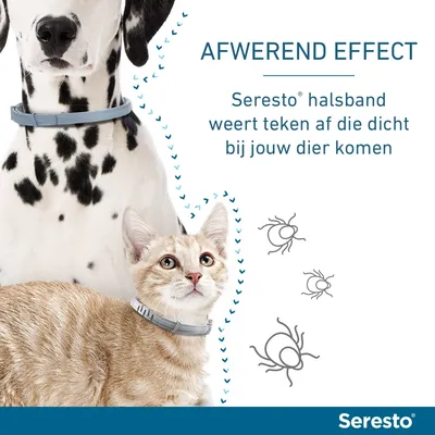 Seresto vlooien- en tekenband voor honden vanaf 8 kg