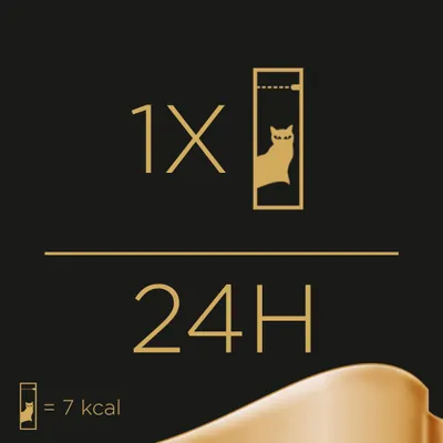 Conseil d’alimentation : 1 stick pour chat toutes les 24 heures, chaque stick équivaut à 7 kcal. Illustration d’un stick avec silhouette de chat.