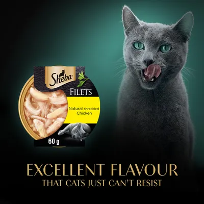 Sheba Fillets 16 x 60g