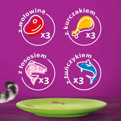 Z wołowiną x3, z kurczakiem x3, z łososiem x3, z tuńczykiem x3 – ilustracje smaków na fioletowym tle. Widoczny ogon kota i pusty zielony talerz.