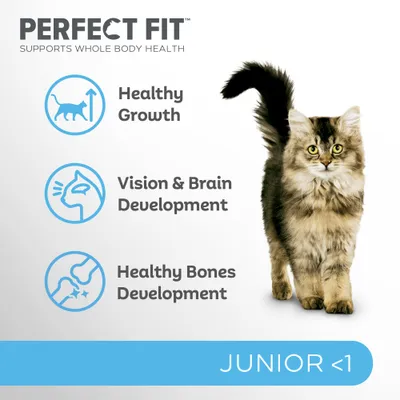PERFECT FIT, supports whole body health. Healthy Growth, Vision & Brain Development, Healthy Bones Development. JUNIOR <1. Bild på kattunge.