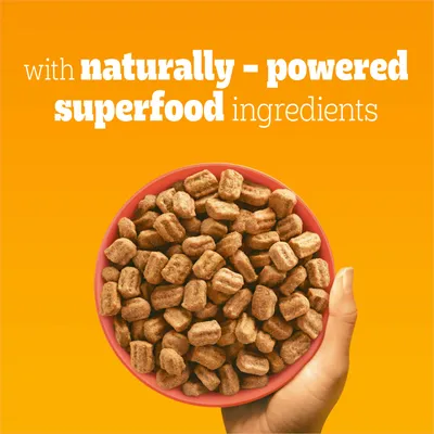 Bowl of kibble with text stating: with naturally-powered superfood ingredients.