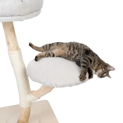 Rascador con poste envuelto en sisal, superficie acolchada y gato relajado acostado encima.