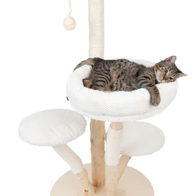 Kratzbaum aus Holz mit drei Ebenen, weiss gepolstertem Liegeplatz und Spielseil. Katze liegt entspannt im oberen Liegeplatz.
