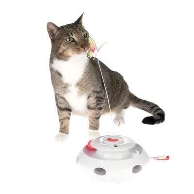 Spielzeug für Katzen mit Schmetterling an einer Stange, präsentiert neben einer Katze. Elektronisches Gerät in Weiss und Rot mit runden Öffnungen.