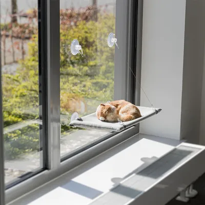 Hamac pour chat fixé à une fenêtre par ventouses, avec un chat roux couché dessus. Structure en tissu et cordes visibles, installation sur vitre intérieure.