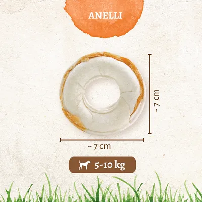 Anello per cani, diametro circa 7 cm, indicato per cani da 5–10 kg. Testo visibile: ANELLI.