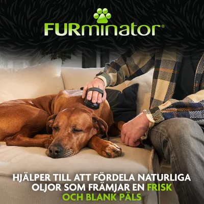 FURminator. Hjälper till att fördela naturliga oljor och främjar en frisk, glänsande päls. FURminator. Hjälper till att fördela naturliga oljor och främjar en frisk, glänsande päls.