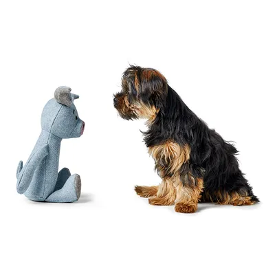 Hund sitzt gegenüber einem blauen Stofftier in Hundegestalt. Demonstration der Interaktion zwischen Haustier und Spielzeug.