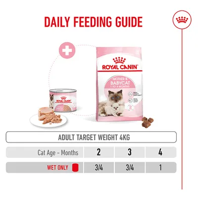 Feeding table for Royal Canin Mother & Babycat: For a target weight of 4 kg, at the age of 2 and 3 months, 3/4 can of wet food daily, at 4 months, 1 can. Feeding table for Royal Canin Mother & Babycat: For a target weight of 4 kg, at the age of 2 and 3 months, 3/4 can of wet food daily, at 4 months, 1 can.