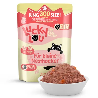 Lucky lou Lifestage kitten 6 x 300 g umido per gatti