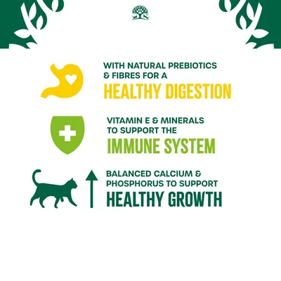 James Wellbeloved Kitten Hypoallergenic Pouches - Chicken in Jelly