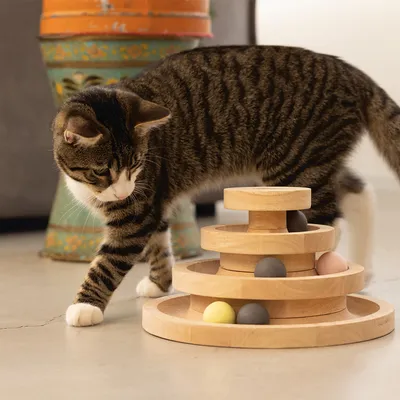 Holzspielzeug mit drei Ebenen und bunten Kugeln, Katze interagiert mit dem Spielzeug.