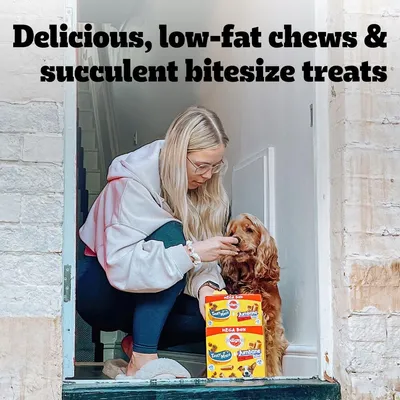 Text reads: Delicious, low-fat chews and succulent bitesize treats. Person offering treat to a dog beside two boxes of Pedigree Tasty Minis and Jumbone Mega Box.