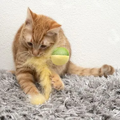 Gato laranja a brincar com brinquedo de bola verde e amarela com penas amarelas, sobre tapete cinzento.