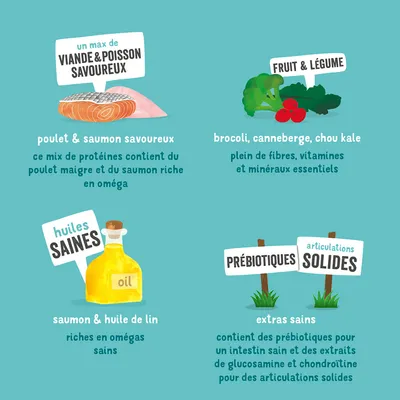 Description du produit : poulet et saumon, riche en oméga ; brocoli, canneberge, chou frisé avec vitamines ; huiles saines comme l'huile de lin ; prébiotiques pour une digestion saine et des articulations solides.