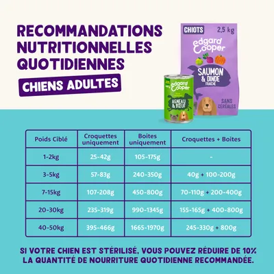Recommandation d’alimentation pour chiens adultes : classes de poids de 1 à 50 kg avec quantités journalières pour croquettes, pâtée et combinaison. Note : chiens stérilisés nécessitent 10 % de moins.