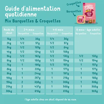Tableau d’alimentation pour chiots : mélange de Barquettes et Croquettes. Indications selon le poids et l’âge du chien, de 1kg à 30kg. Exemple : 10kg, 6 mois, 1 Barquette, 166g Croquettes.
