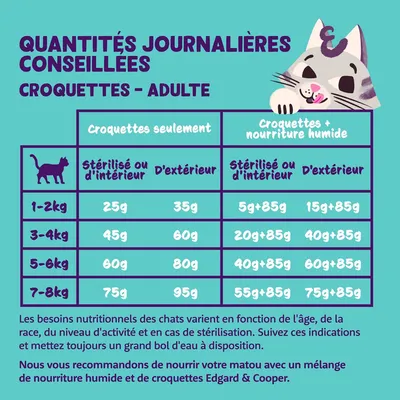 Tableau d’alimentation pour chats adultes : quantités quotidiennes recommandées de croquettes et croquettes avec pâtée, selon poids et mode de vie. Marque Edgard & Cooper.