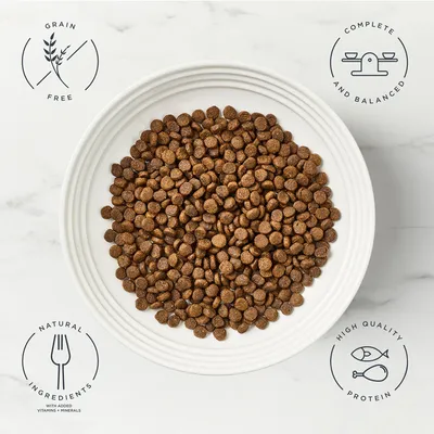 Encore Cat Chicken - 800g Encore Cat Chicken - 800g