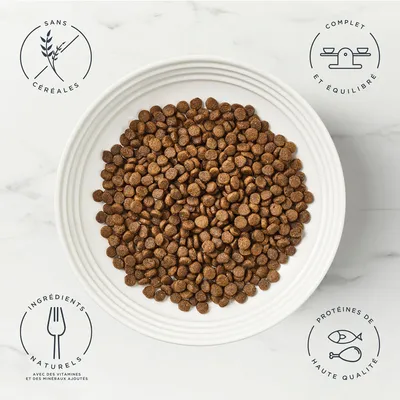 Encore poulet, saumon