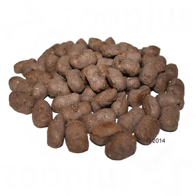 Brune tørfoderpiller i en bunke, ingen synlig emballage eller mærkning. Produktnavn og ingredienser ikke vist.