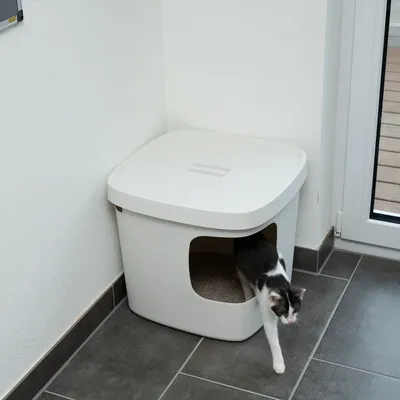 Katzentoilette mit weissem Gehäuse und seitlichem Eingang. Katze verlässt die Toilette. Geeignet für diskrete Platzierung in Wohnräumen.