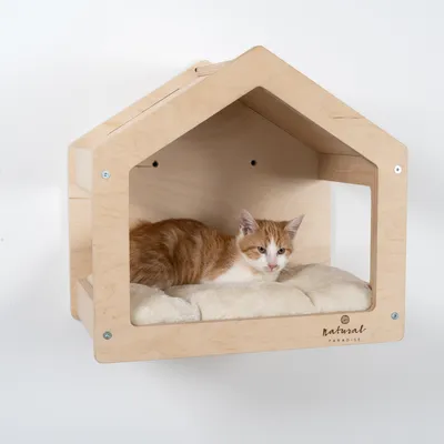 Fali macskaház fából, puha fekvőfelülettel. Macska belül fekszik. Márka: Natural Paradise.