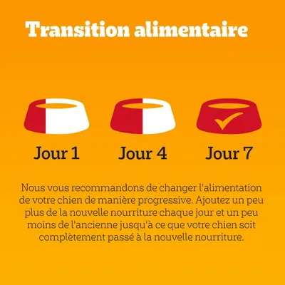 Transition alimentaire : schéma avec trois gamelles pour chien, Jour 1 moitié ancienne nourriture, Jour 4 moitié-moitié, Jour 7 nouvelle nourriture uniquement, texte explicatif en dessous. Transition alimentaire : schéma avec trois gamelles pour chien, Jour 1 moitié ancienne nourriture, Jour 4 moitié-moitié, Jour 7 nouvelle nourriture uniquement, texte explicatif en dessous.