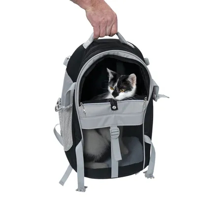 Sac à dos de transport noir et gris avec un chat blanc et noir à l’intérieur, poignée portée à la main, poches latérales en filet et ouverture zippée sur le devant.