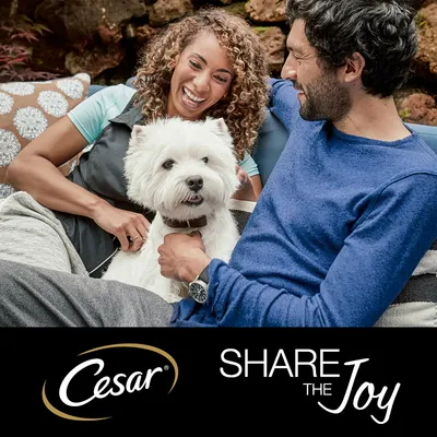 Cane bianco seduto tra due persone su un divano, in basso testo visibile: Cesar SHARE THE JOY