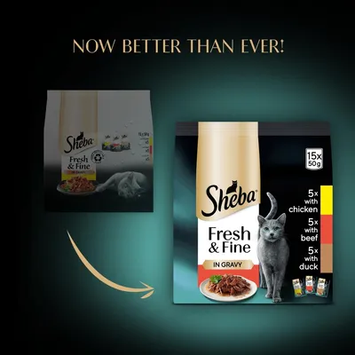Comparison of old and new Sheba Fresh & Fine in Gravy packaging, highlighting improved design. New pack contains 15 x 50g: 5 with chicken, 5 with beef, 5 with duck. Text: Now better than ever.