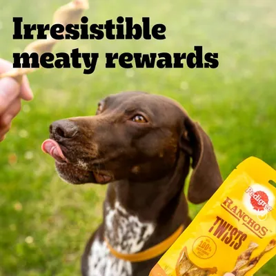 Text: Irresistible meaty rewards. Pedigree Ranchos Twists pack shown with a dog looking at a treat outdoors.