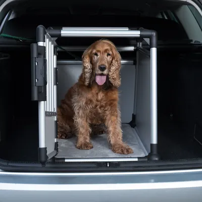 Metal and plastic transport box in a car boot, suitable for pets. Box with door and stable construction.