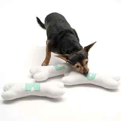 Kleiner Hund spielt mit weissen Stoffknochen, bestickt mit grünen Buchstaben L und M.